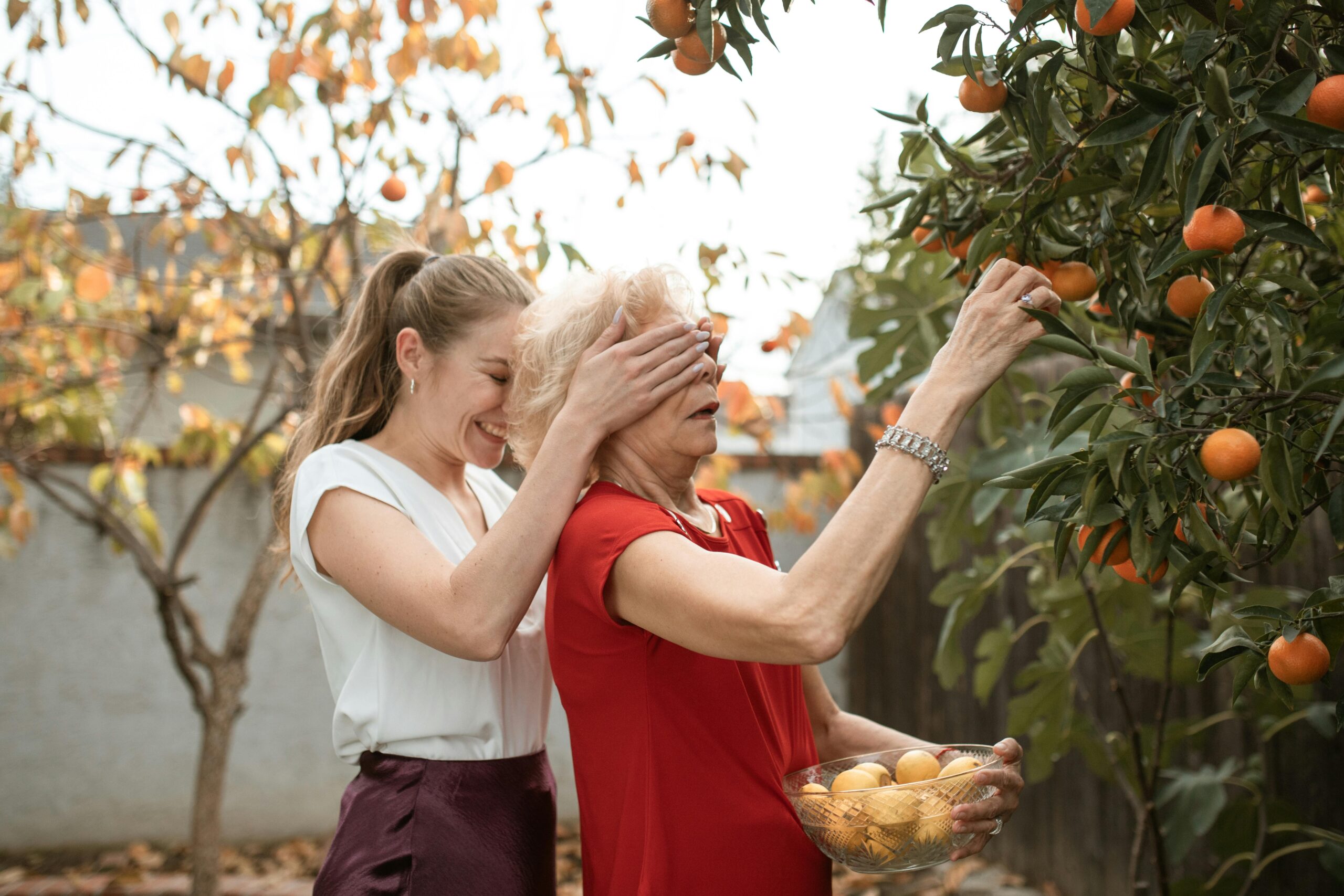 Help With Errands and Tasks